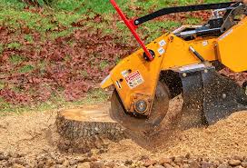 Best Pest Control for Lawns  in Julian, CA
